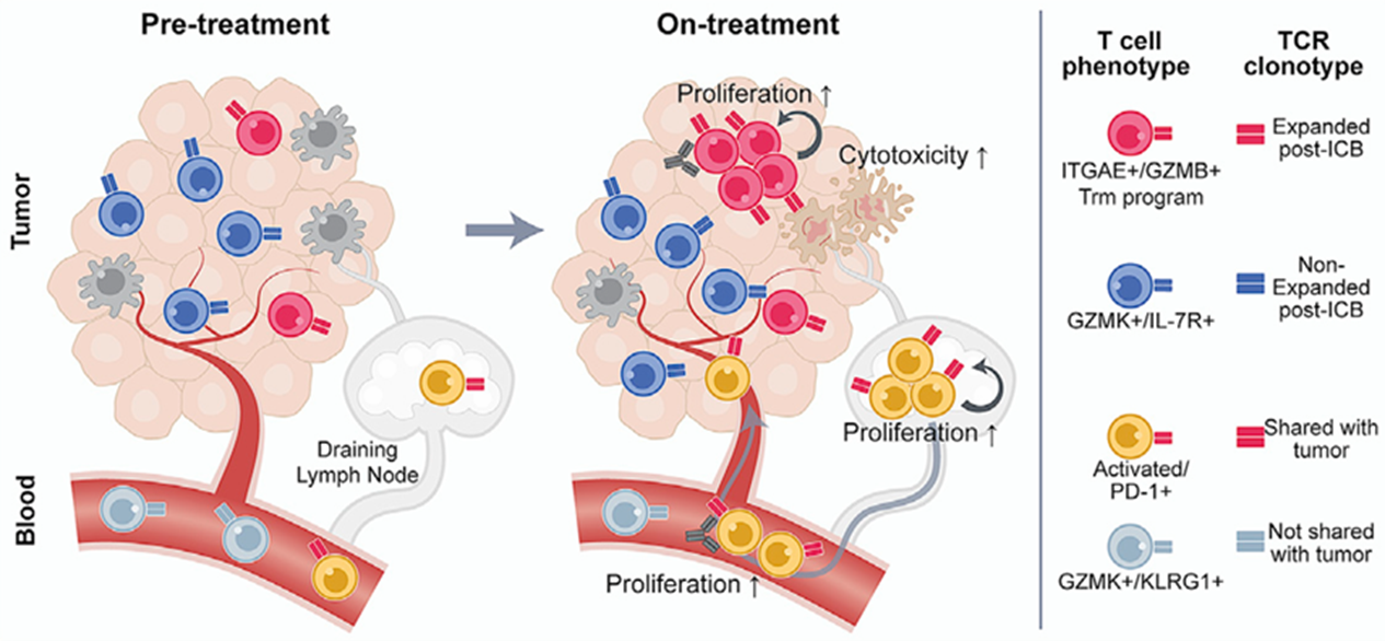 1766655909446311.png 图片1.png